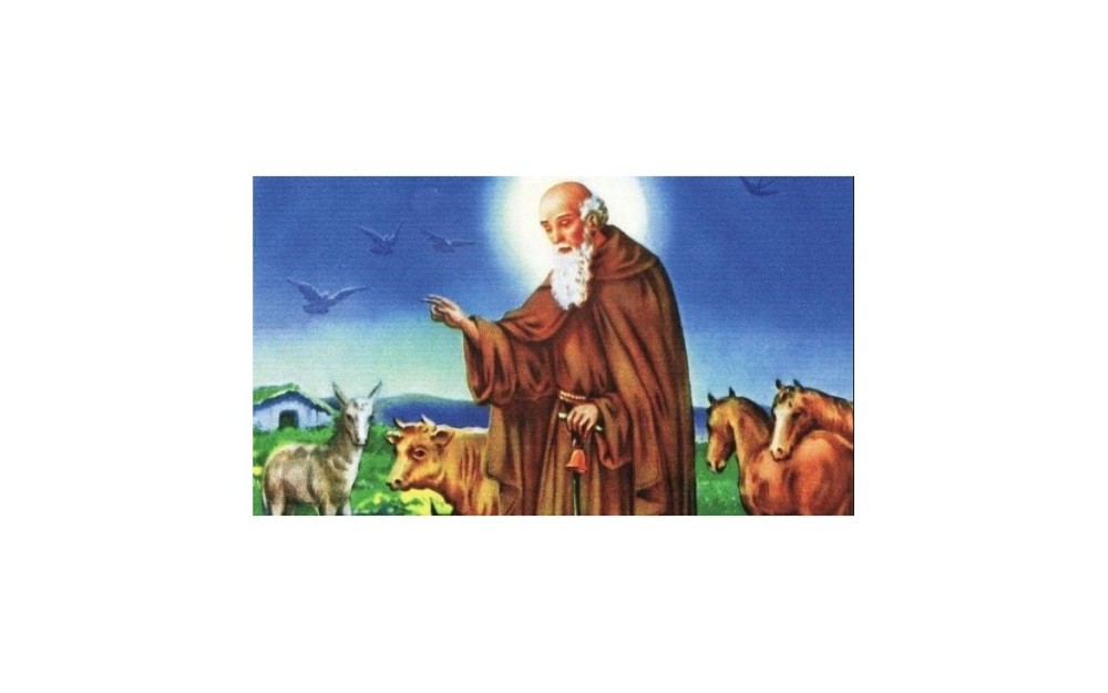 ¿Quién era San Antón? Origen y significado de la celebración del 17 de enero? ¿Quién era San Antón? Origen y significado de la celebración del 17 de enero?